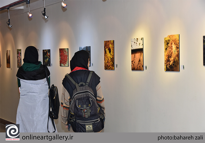 گزارش تصویری بخش نمایشگاهی دومین همایش بین المللی هنرهای تجسمی و محیط زیست با محوریت «هنر بازیافت» در موسسه صبا (بخش دوم)
